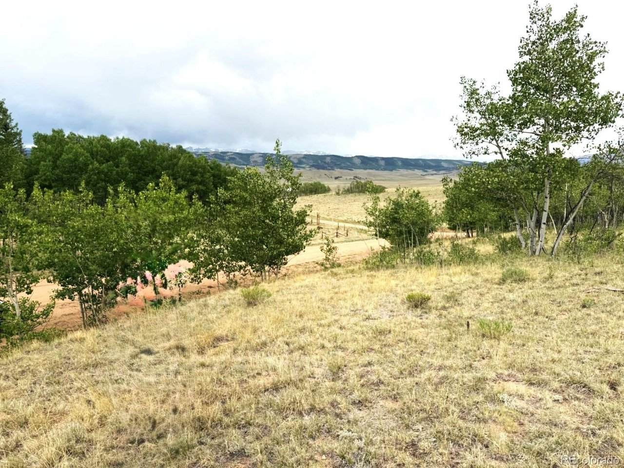 615 Caracara Ln - Photo 1