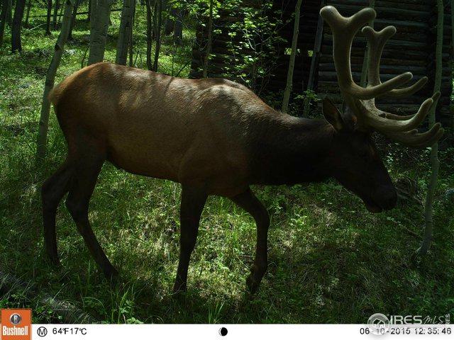 0 Twin Spruce Rd - Photo 1