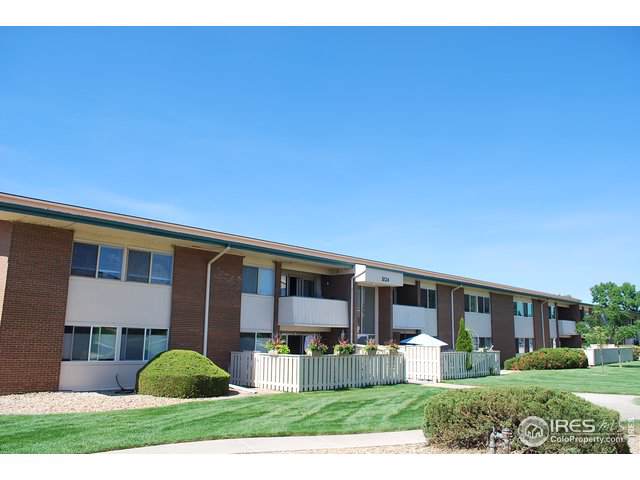 5122 Williams Fork Trl - Photo 1