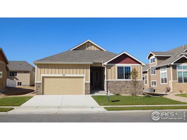 703 Mt Evans Ave - Photo 1