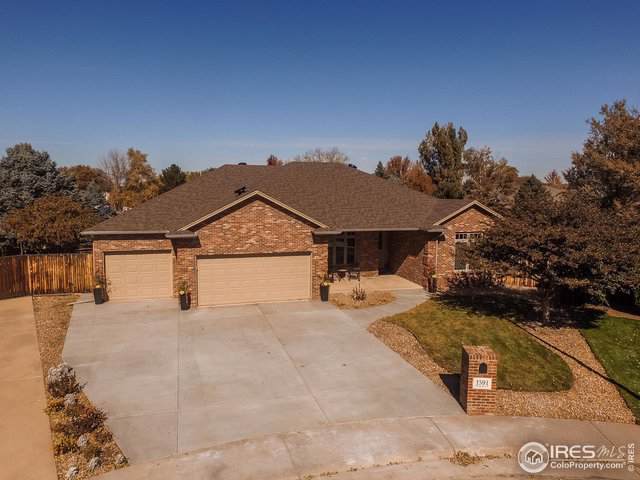 1591 Peach Ct - Photo 1