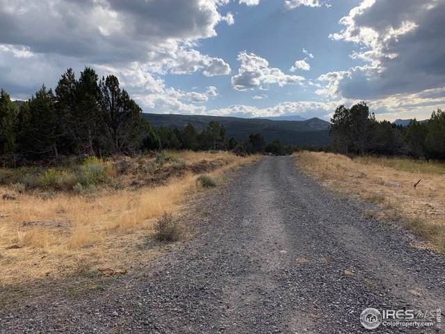 10787 52 1/2 Road - Photo 1