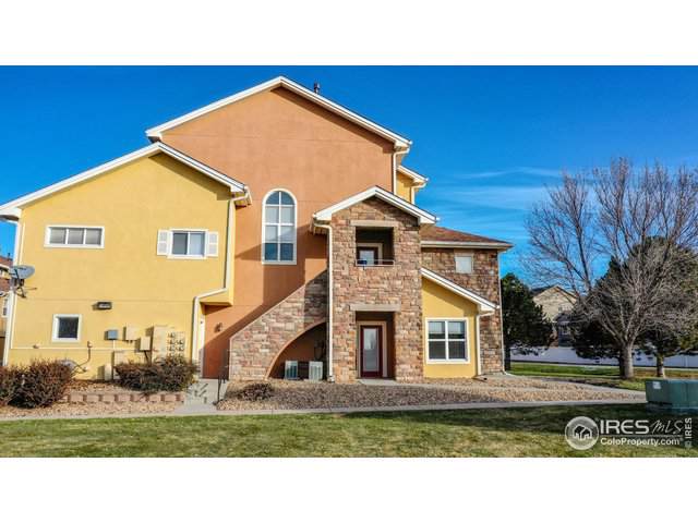 1001 Lucca Dr - Photo 1