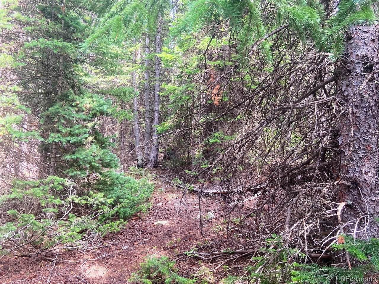 0 Fs 413.1 - Photo 1