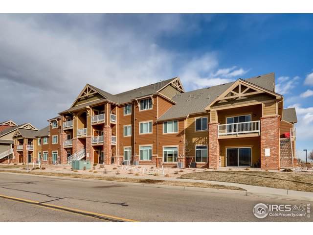 804 Summer Hawk Dr - Photo 1