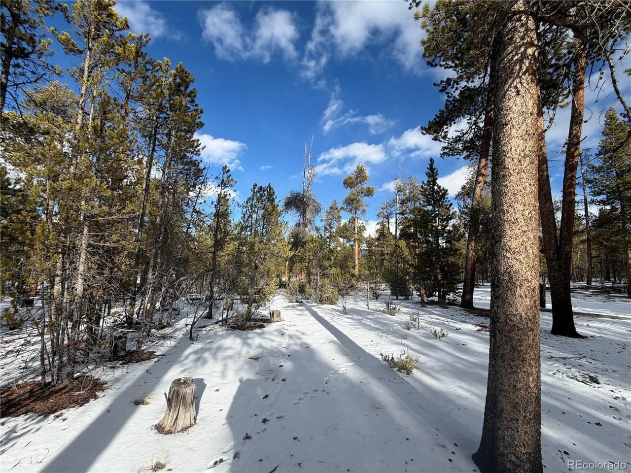 379 Peak View Dr - Photo 1