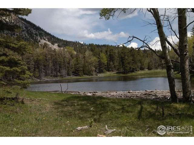 29 Tres Valles West - Photo 1