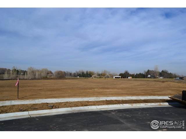 1531 Spring Creek Dr - Photo 1