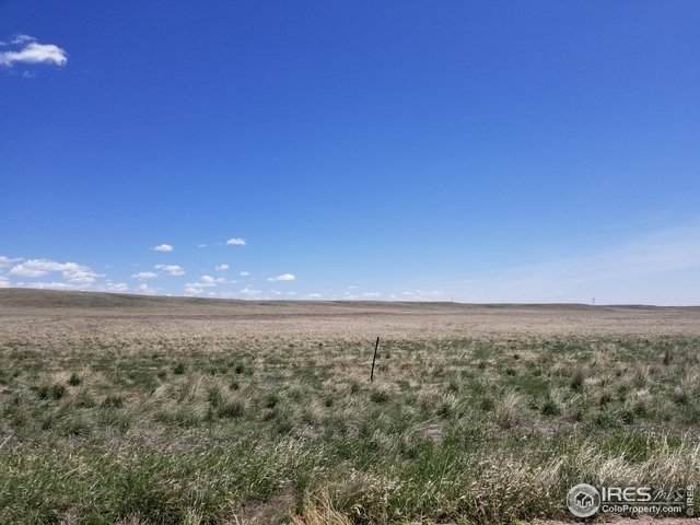 0 County Road 114 - Photo 1