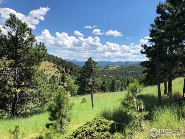 1121 County Road 83 - Photo 1