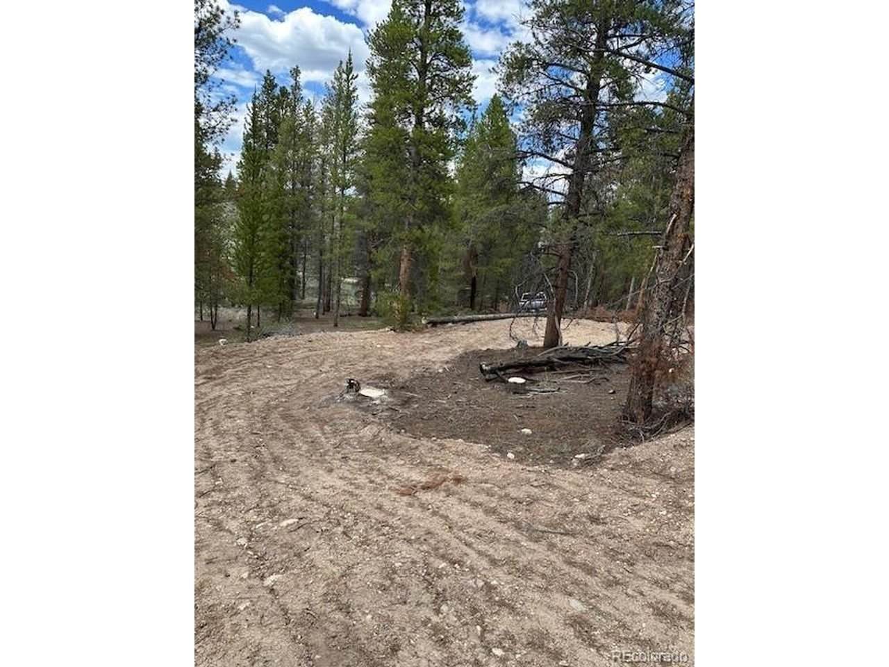 123 Lodgepole Dr - Photo 1