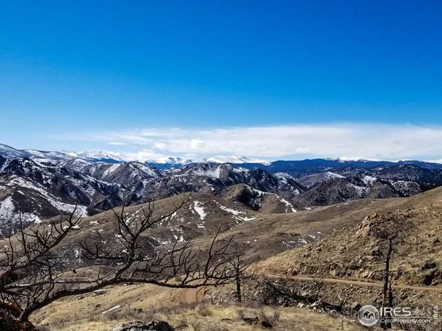 37 Foggy Mountain Ct - Photo 1