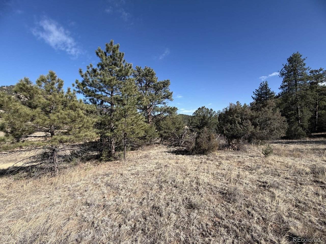 0 Canyon Rd - Photo 1