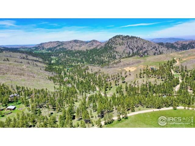 1033 Davis Ranch Rd - Photo 1
