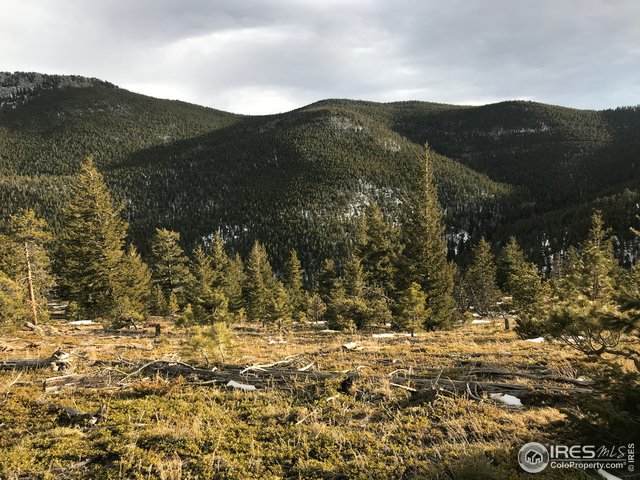 0 Twin Spruce Rd - Photo 1