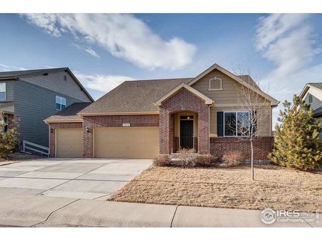 5534 Palomino Way - Photo 1