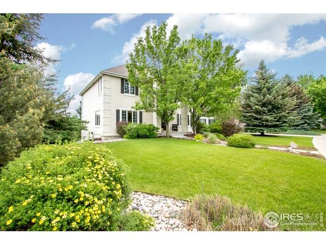 725 Blue Teal Dr - Photo 1
