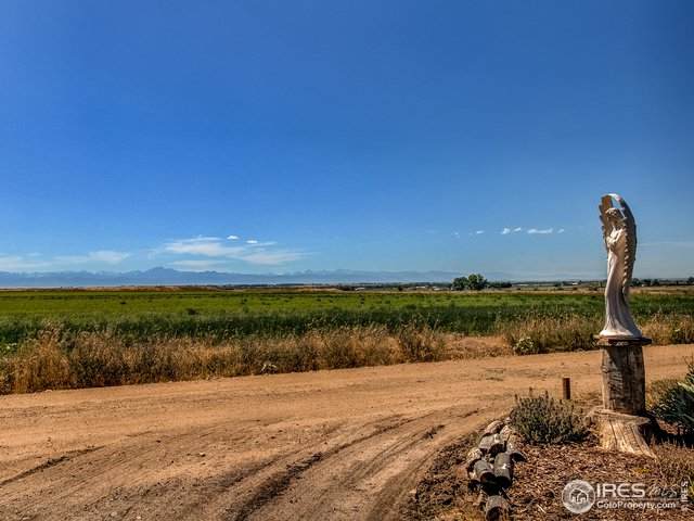 14513 County Road 16 - Photo 1