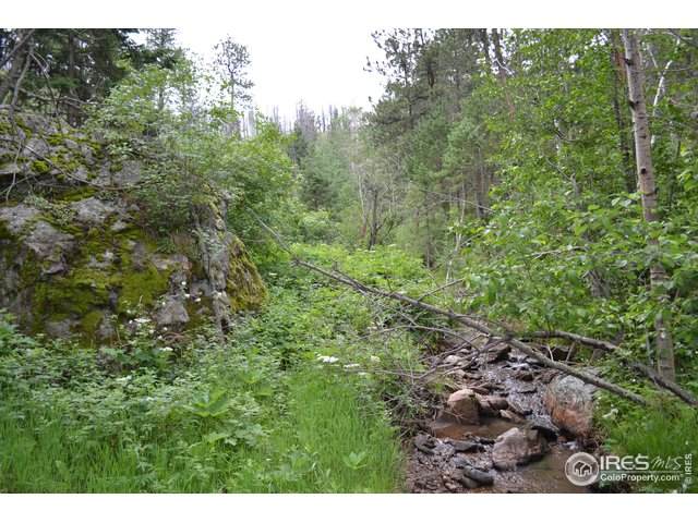 0 Old Camp Rd - Photo 1