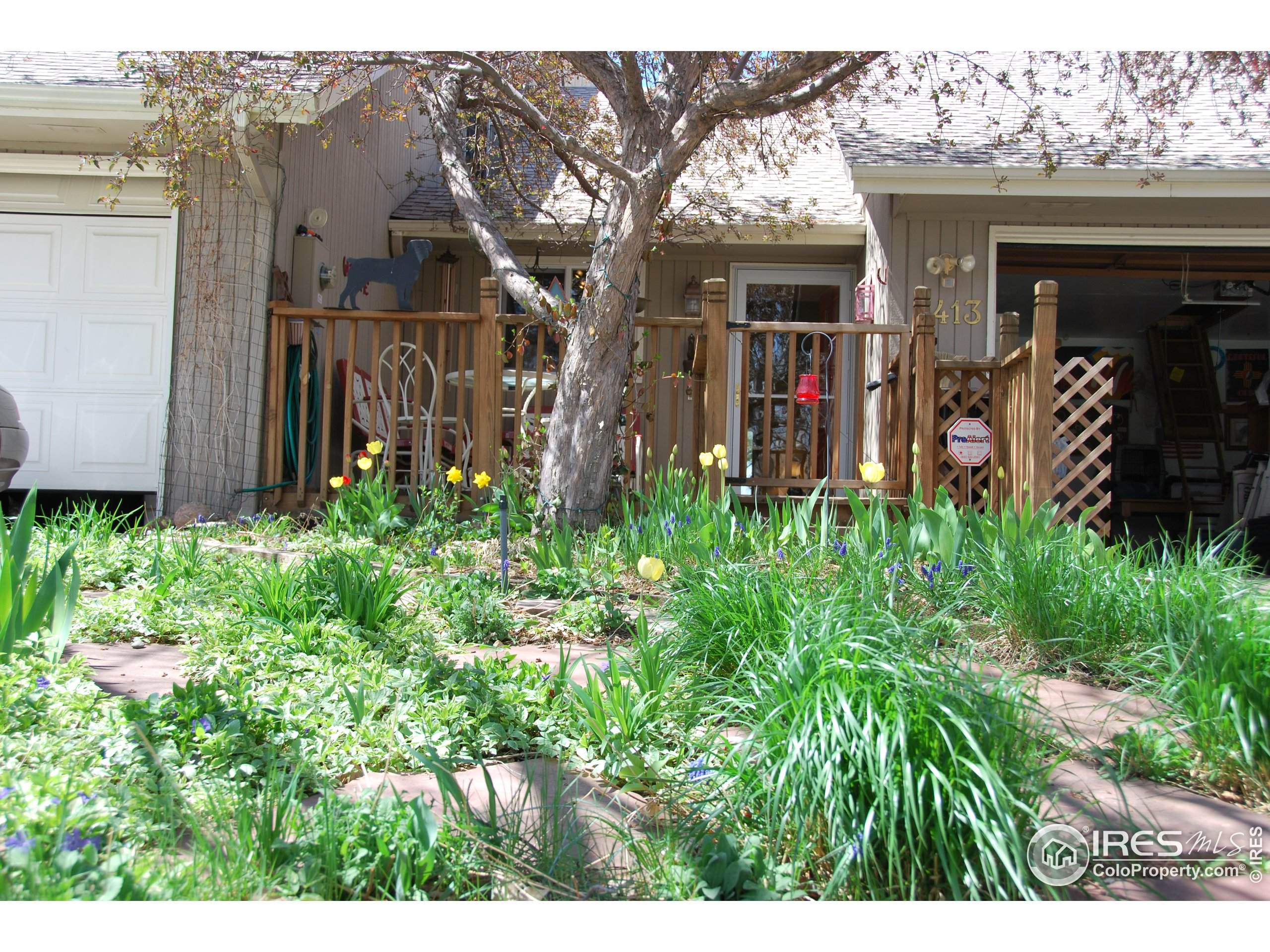 1853 Rannoch Dr - Photo 1
