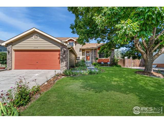2230 Moss Rose Ln - Photo 1
