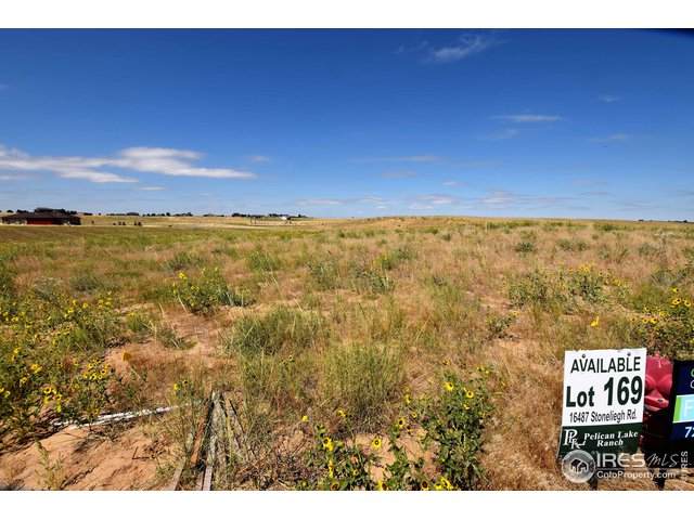 16487 Stoneleigh Rd - Photo 1
