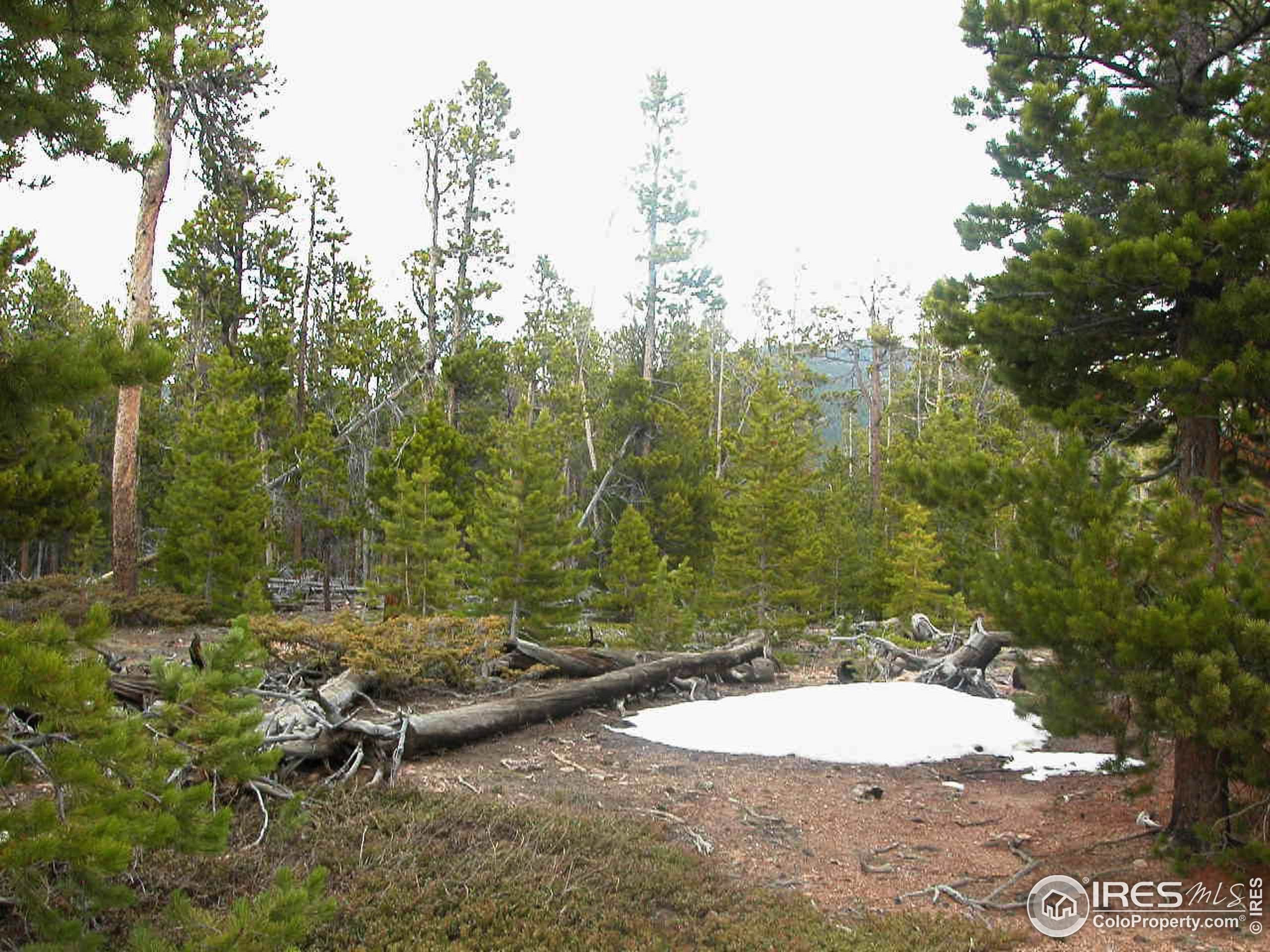 169 9th Ave - Photo 1