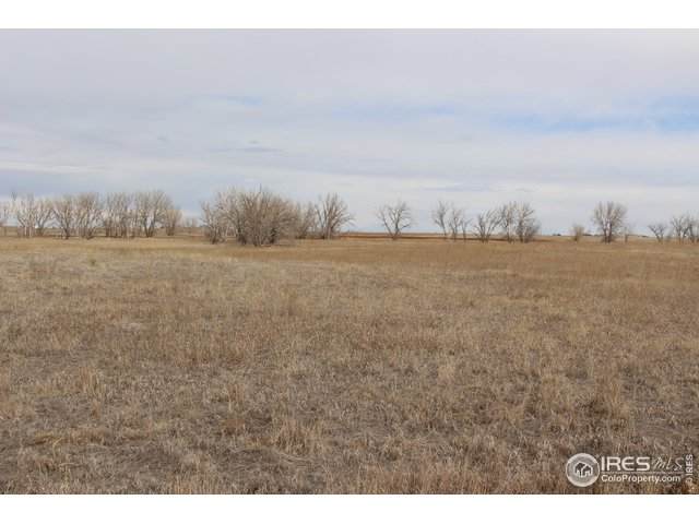0 County Road 6 - Photo 1
