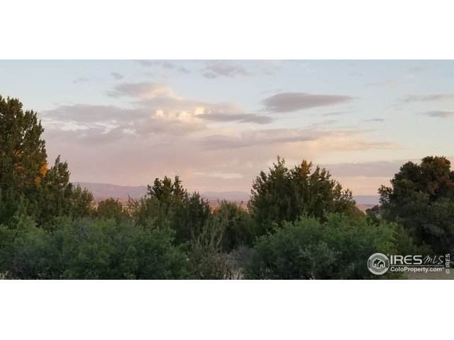 2045 Newton Rd - Photo 1