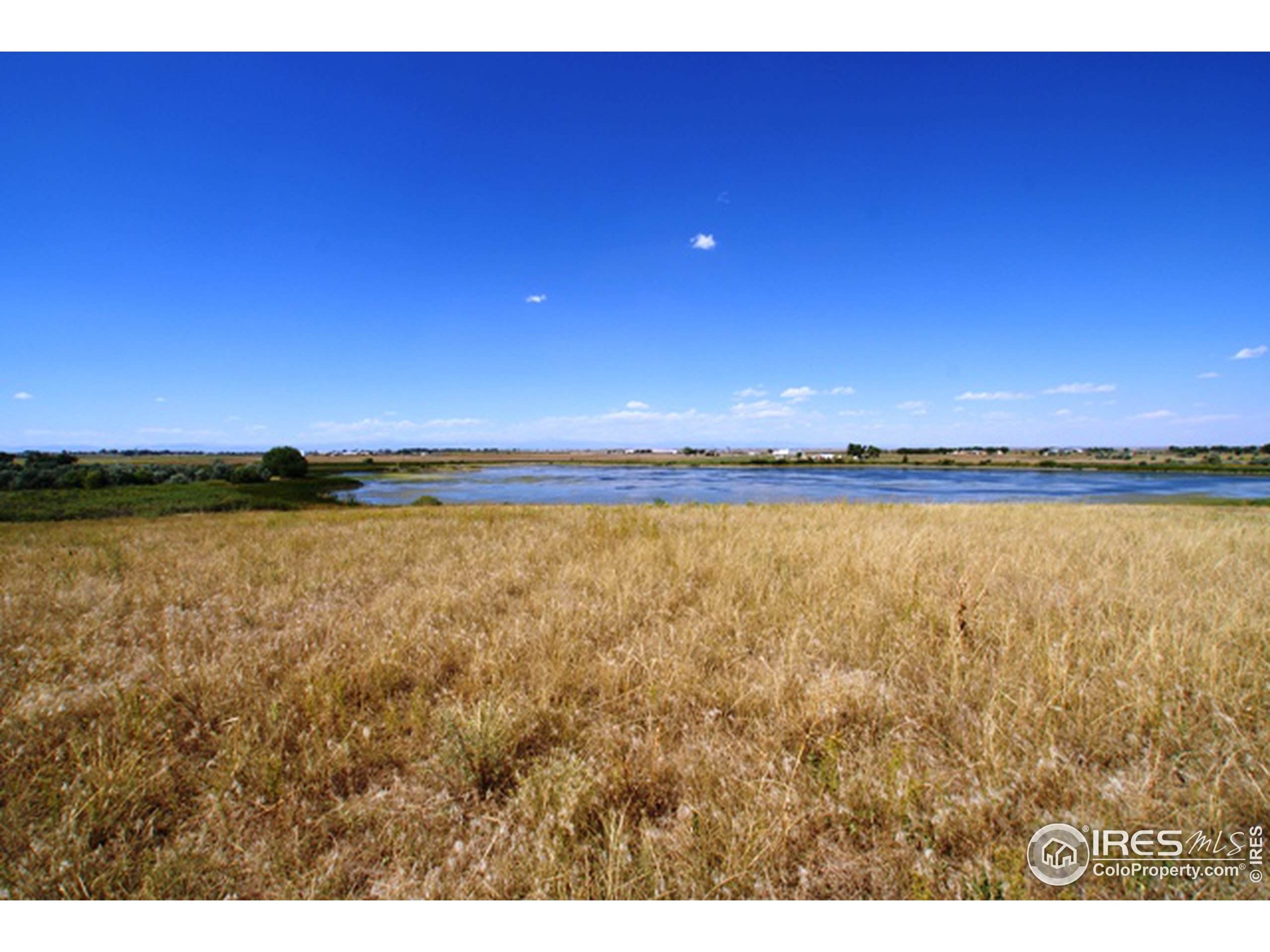 1564 Illingworth Dr - Photo 1