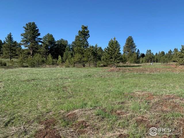 1235 Iron Mountain Dr - Photo 1