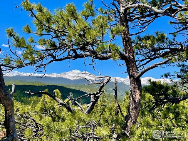 49000 Peak To Peak Hwy - Photo 1