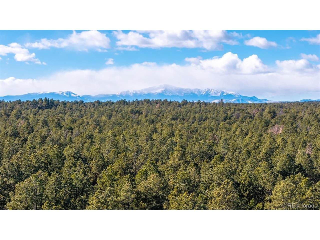 10775 Hardy Rd - Photo 1