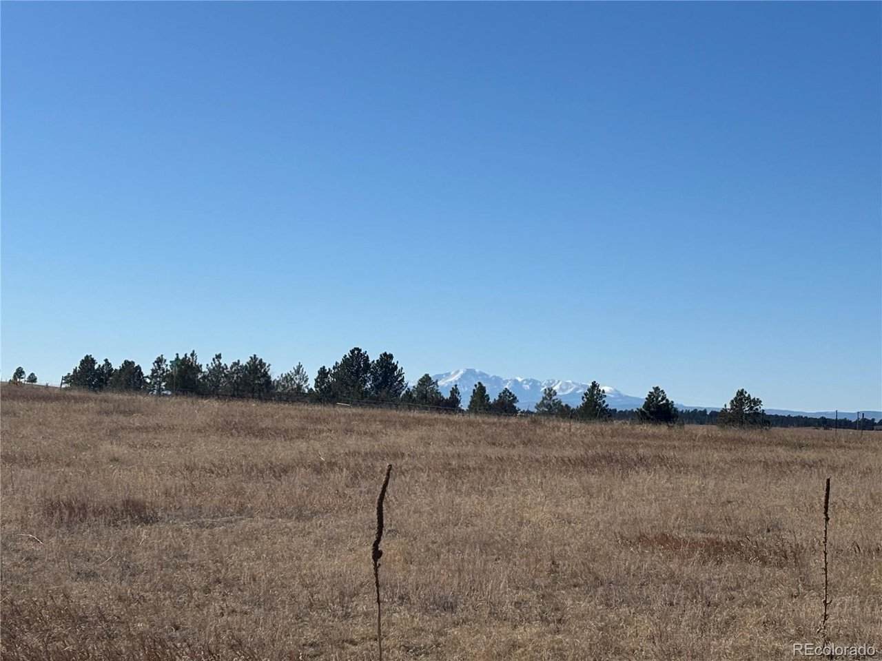 3 County Road 27 - Photo 1