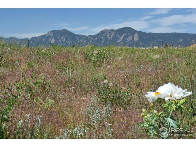 5864 Rustic Knolls Dr - Photo 1