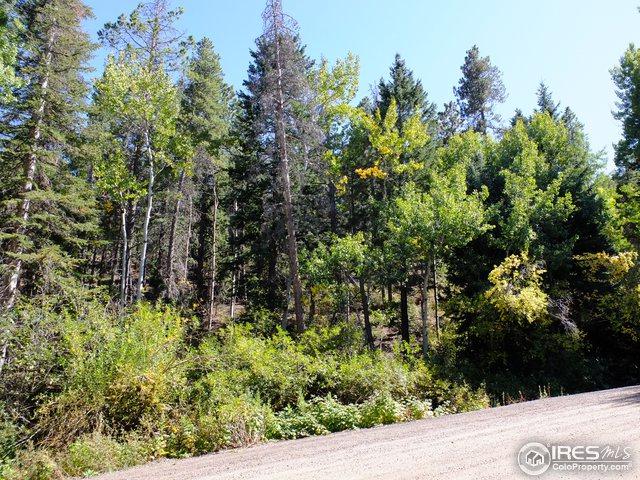 11686 Brook Rd - Photo 1
