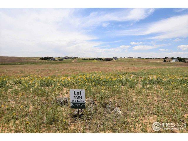 16477 Essex Rd - Photo 1