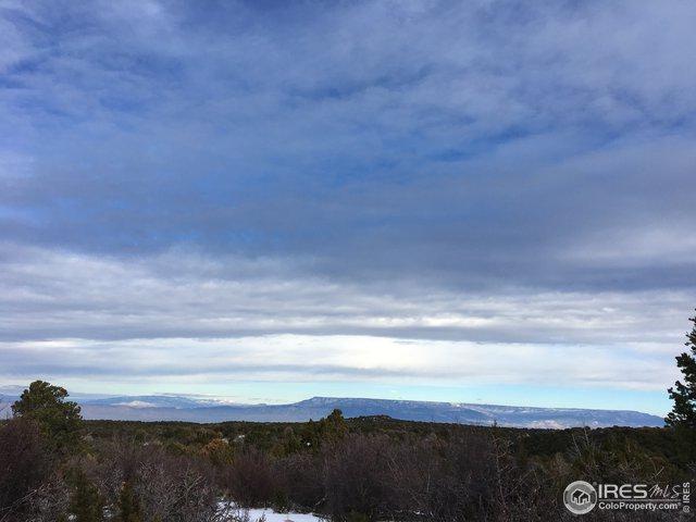 18947 Elk Reserve Rd - Photo 1
