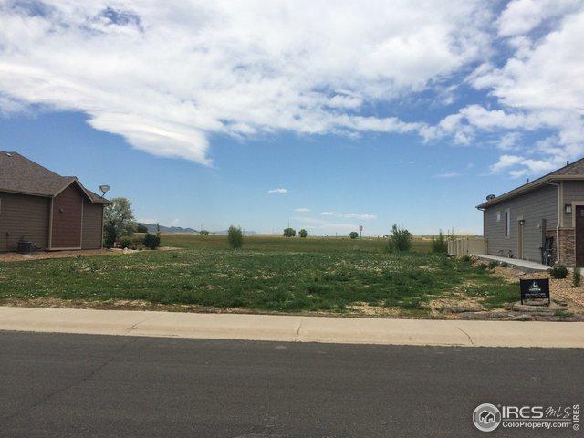 1033 Coral Burst Dr - Photo 1