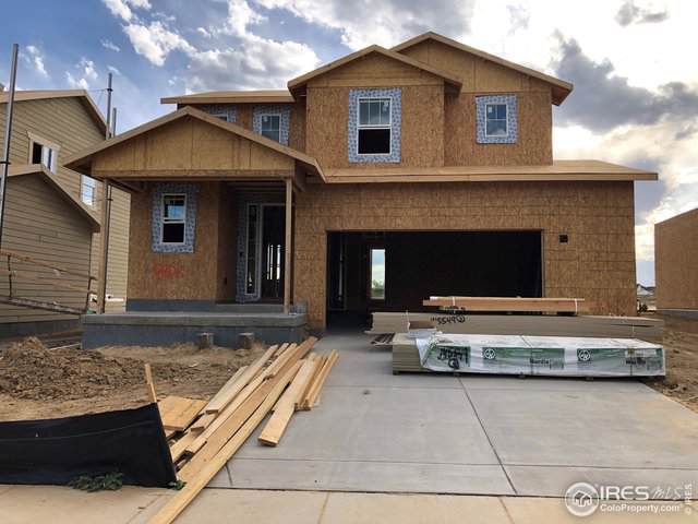 12803 Clearview St - Photo 1