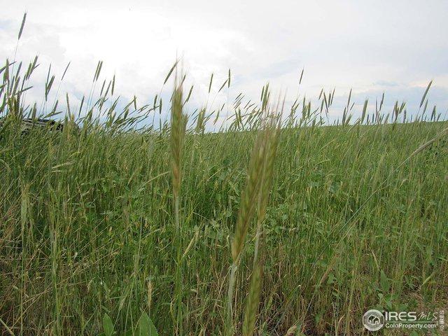 County Road 69 - Photo 1