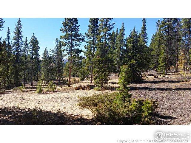802 Prospect Gulch Rd - Photo 1