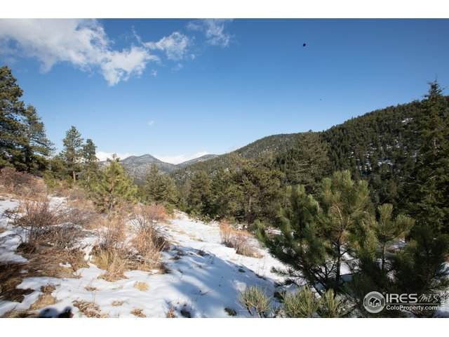 10683 Twin Spruce Rd - Photo 1