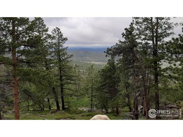1171 Jicarilla Trl - Photo 1