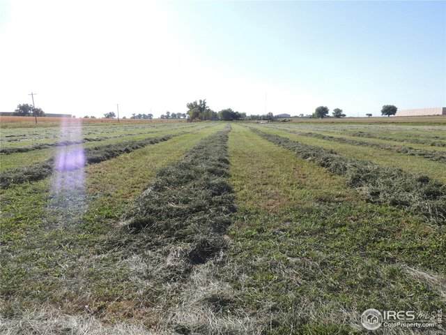 County Road 14 1/2 - Photo 1