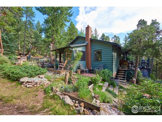252 Upper Travis Gulch Rd - Photo 1