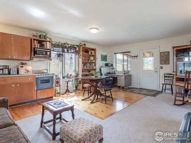 519 Palisade Mountain Dr - Photo 1
