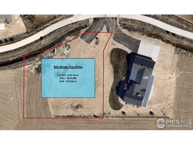 823 Shade Tree Dr - Photo 1
