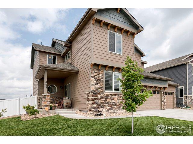 699 Vermilion Peak Ct - Photo 1 699 Vermilion Peak Ct - Photo 1