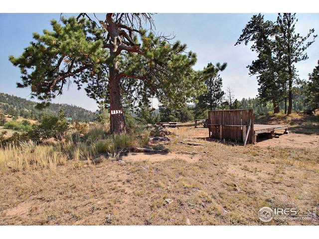 1137 Beartrap Rd - Photo 1